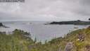 ./images/calvert/foggy-cove/20260615/foggy-cove20260615_153002M.jpg