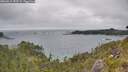 ./images/calvert/foggy-cove/20260615/foggy-cove20260615_153501M.jpg