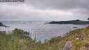 ./images/calvert/foggy-cove/20260615/foggy-cove20260615_154501M.jpg