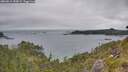 ./images/calvert/foggy-cove/20260615/foggy-cove20260615_155001M.jpg