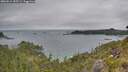 ./images/calvert/foggy-cove/20260615/foggy-cove20260615_155501M.jpg