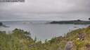 ./images/calvert/foggy-cove/20260615/foggy-cove20260615_160501M.jpg