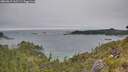 ./images/calvert/foggy-cove/20260615/foggy-cove20260615_162501M.jpg