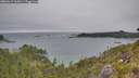 ./images/calvert/foggy-cove/20260615/foggy-cove20260615_163001M.jpg
