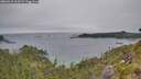 ./images/calvert/foggy-cove/20260615/foggy-cove20260615_163501M.jpg