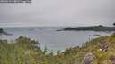 ./images/calvert/foggy-cove/20260615/foggy-cove20260615_164001M.jpg