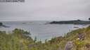 ./images/calvert/foggy-cove/20260615/foggy-cove20260615_164501M.jpg