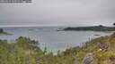 ./images/calvert/foggy-cove/20260615/foggy-cove20260615_165502M.jpg