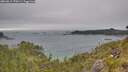 ./images/calvert/foggy-cove/20260615/foggy-cove20260615_170501M.jpg