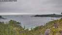 ./images/calvert/foggy-cove/20260615/foggy-cove20260615_173001M.jpg