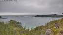 ./images/calvert/foggy-cove/20260615/foggy-cove20260615_173501M.jpg