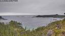 ./images/calvert/foggy-cove/20260615/foggy-cove20260615_174001M.jpg