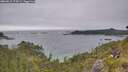 ./images/calvert/foggy-cove/20260615/foggy-cove20260615_174501M.jpg