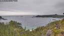 ./images/calvert/foggy-cove/20260615/foggy-cove20260615_175501M.jpg