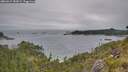 ./images/calvert/foggy-cove/20260615/foggy-cove20260615_182002M.jpg