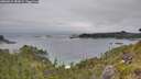 ./images/calvert/foggy-cove/20260615/foggy-cove20260615_183001M.jpg