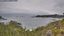 ./images/calvert/foggy-cove/20260615/foggy-cove20260615_184501M.jpg