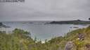 ./images/calvert/foggy-cove/20260615/foggy-cove20260615_190501M.jpg