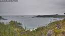 ./images/calvert/foggy-cove/20260615/foggy-cove20260615_191002M.jpg