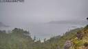 ./images/calvert/foggy-cove/20260615/foggy-cove20260615_193501M.jpg