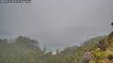 ./images/calvert/foggy-cove/20260615/foggy-cove20260615_201001M.jpg