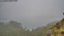 ./images/calvert/foggy-cove/20260615/foggy-cove20260615_202001M.jpg