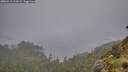 ./images/calvert/foggy-cove/20260615/foggy-cove20260615_213501M.jpg