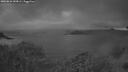 ./images/calvert/foggy-cove/20260616/foggy-cove20260616_043001M.jpg