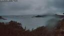 ./images/calvert/foggy-cove/20260616/foggy-cove20260616_044001M.jpg