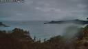 ./images/calvert/foggy-cove/20260616/foggy-cove20260616_044501M.jpg