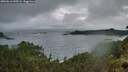 ./images/calvert/foggy-cove/20260616/foggy-cove20260616_045501M.jpg