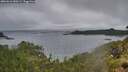 ./images/calvert/foggy-cove/20260616/foggy-cove20260616_050502M.jpg