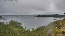 ./images/calvert/foggy-cove/20260616/foggy-cove20260616_051001M.jpg