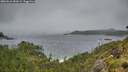 ./images/calvert/foggy-cove/20260616/foggy-cove20260616_052001M.jpg