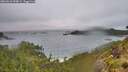 ./images/calvert/foggy-cove/20260616/foggy-cove20260616_054001M.jpg