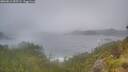 ./images/calvert/foggy-cove/20260616/foggy-cove20260616_055501M.jpg