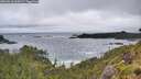 ./images/calvert/foggy-cove/20260616/foggy-cove20260616_064502M.jpg