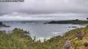 ./images/calvert/foggy-cove/20260616/foggy-cove20260616_065001M.jpg