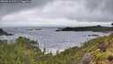 ./images/calvert/foggy-cove/20260616/foggy-cove20260616_065501M.jpg