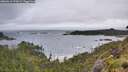 ./images/calvert/foggy-cove/20260616/foggy-cove20260616_070001M.jpg