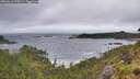 ./images/calvert/foggy-cove/20260616/foggy-cove20260616_070501M.jpg