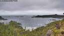 ./images/calvert/foggy-cove/20260616/foggy-cove20260616_071001M.jpg