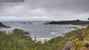 ./images/calvert/foggy-cove/20260616/foggy-cove20260616_071502M.jpg