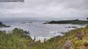 ./images/calvert/foggy-cove/20260616/foggy-cove20260616_073002M.jpg