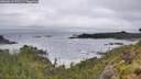 ./images/calvert/foggy-cove/20260616/foggy-cove20260616_073501M.jpg