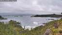 ./images/calvert/foggy-cove/20260616/foggy-cove20260616_074001M.jpg