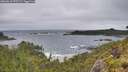 ./images/calvert/foggy-cove/20260616/foggy-cove20260616_075501M.jpg