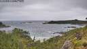 ./images/calvert/foggy-cove/20260616/foggy-cove20260616_080001M.jpg