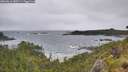 ./images/calvert/foggy-cove/20260616/foggy-cove20260616_080501M.jpg