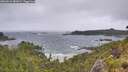 ./images/calvert/foggy-cove/20260616/foggy-cove20260616_081001M.jpg